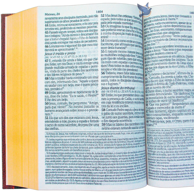 King James KJA Study Bible Hardcover Color Bordeaux and Black Loja Ammix
