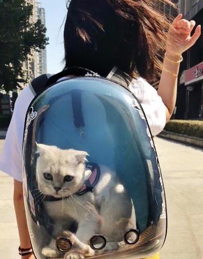Capsule Travel Bag for Pet - Loja Ammix