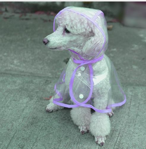 Transparent Pet Raincoat - Loja Ammix