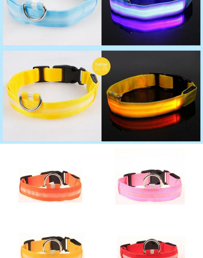 Coleira Luminosa de LED Para Cães - Loja Ammix