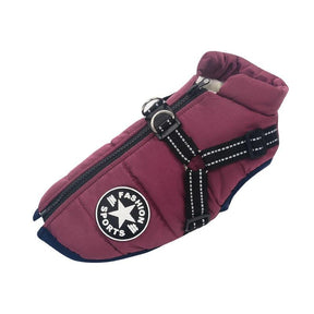 VIP Dog Clothes Jacket for Small Medium Large Dogs Winter Warm - Loja Ammix