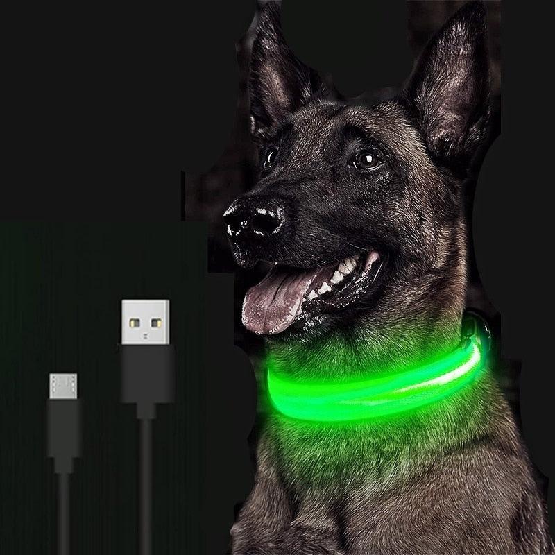 LED Glowing Dog Collar Rechargeable Luminous Collar Adjustable large Dog Night Light Collar Pet Safety Collar for Small Dogs Cat - Loja Ammix