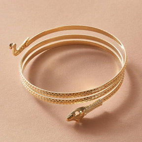 Tocona Punk Gold Color Bracelets for Women Trendy Alloy Metal Bangle Bohemian Jewelry Accessories Gift Wholesale 15165 - Loja Ammix